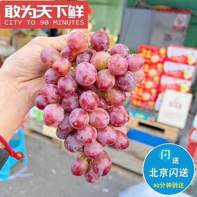 6.5斤 仅限北京闪送 云南 克伦生无籽红提 饱满 汁水充足独有纯香