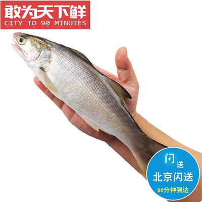 0.9-1斤/条 北京闪送 冰鲜 马友鱼 海鲜水产 非常香