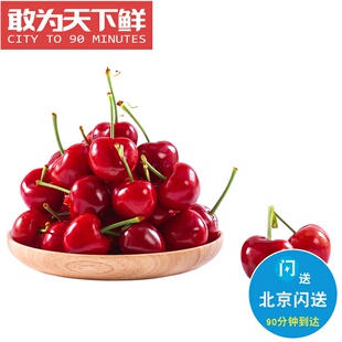 新鲜水果 仅限北京闪送 1.5斤 大连美早樱桃 颗颗精选 车厘子