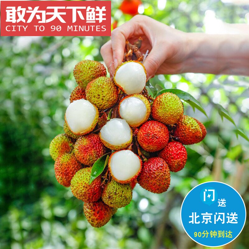 2斤 仅限北京闪送 一骑红尘妃子笑 无人知是荔枝来 新鲜荔枝