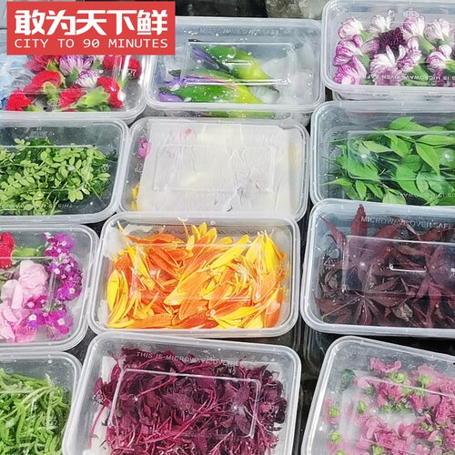 仅限北京闪送 新鲜 花草 迷迭香 康乃馨 清香木 冰鲜美人 火红苗