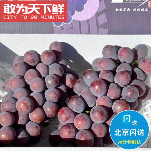 4.5斤 仅限北京闪送 辽峰葡萄 来自核心产区 粒大饱满 纯甜无籽