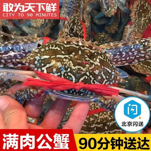 4-5两/只 2只 北京闪送 鲜活兰花蟹 满肉海南水产海鲜 保鲜不保活