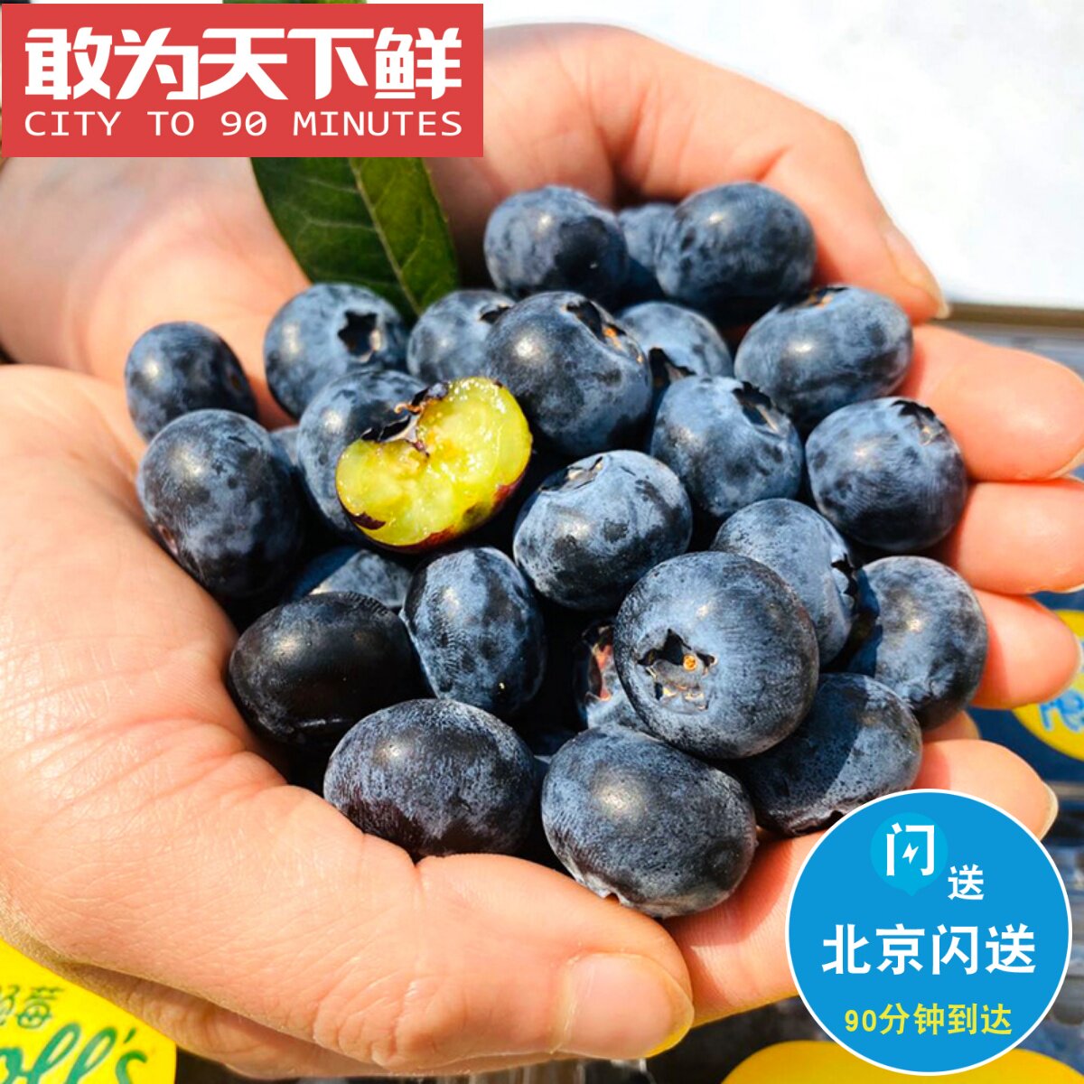 125g*12盒 仅限北京闪送 云南Driscoll's 怡颗莓&middot;限量版蓝莓