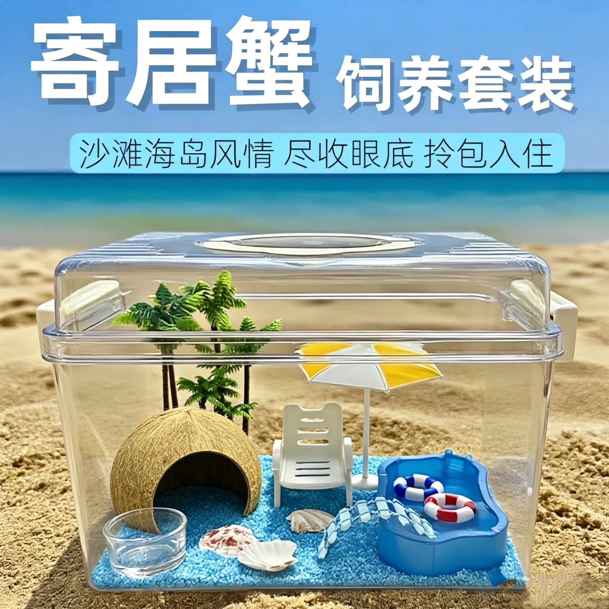 寄居蟹饲养箱套装寄居蟹饲养盒用品全套新手套装相守蟹沙蟹饲养缸