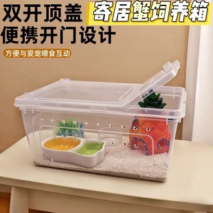 寄居蟹饲养盒套装宠物寄居蟹饲养盒沙蟹缸儿童节礼物套餐小豆丁