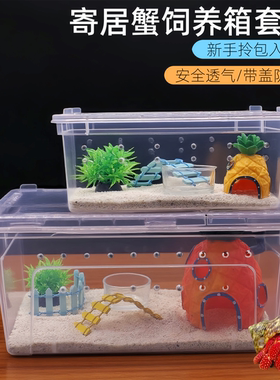 寄居蟹饲养箱套装螃蟹相守蟹