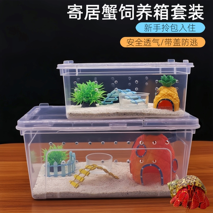 寄居蟹饲养箱套装螃蟹相守蟹饲养缸寄居蟹新手饲养盒宠物儿童礼物