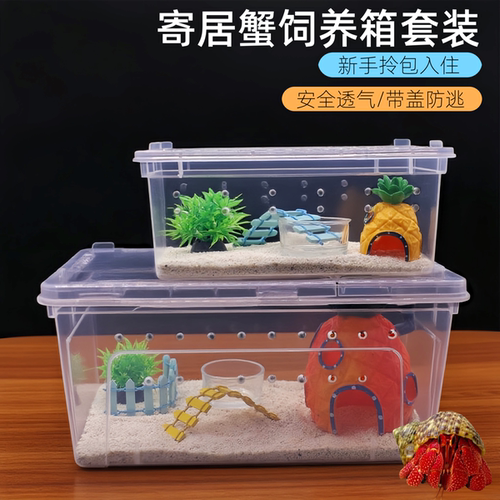 寄居蟹饲养箱套装螃蟹相守蟹