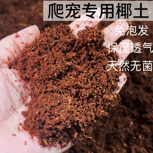 无菌椰土寄居蟹垫材乌龟冬眠蜘蛛蝎子甲虫角蛙保湿 苔藓椰土免泡