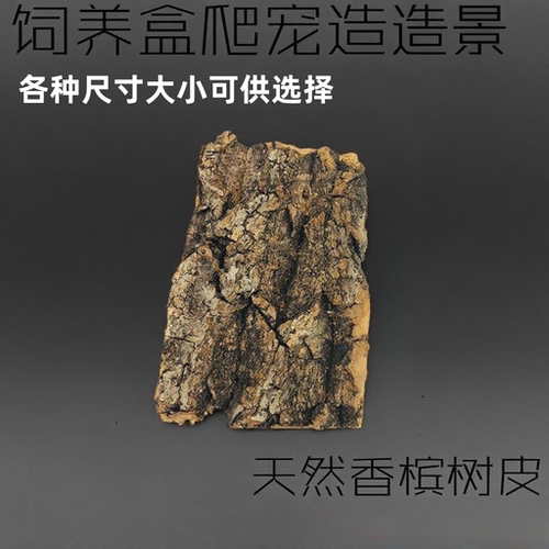 爬虫玫瑰蜘蛛蝎子蜥蜴躲避守宫