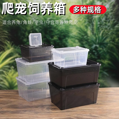 守宫蜥蜴爬宠饲养盒人渣盒