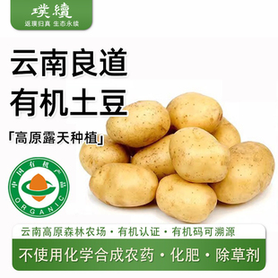 云南高原有机黄心土豆良道马铃薯洋芋黄皮马铃薯红非转应季