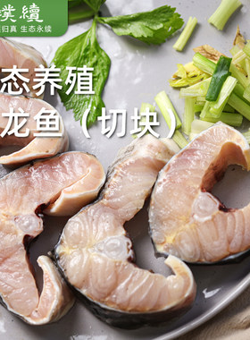 生态鲟龙鱼鱼扒鱼切块中华鱼鲟龙冷冻食用鲟鱼鳇鱼送礼生鲜软骨鱼