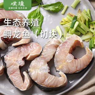 生态鲟龙鱼鱼扒鱼切块中华鱼鲟龙冷冻食用鲟鱼鳇鱼送礼生鲜软骨鱼
