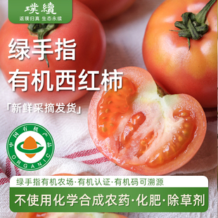 绿手指有机瑞粉西红柿沙瓤番茄现摘无激素无膨大剂非转4.5斤包邮