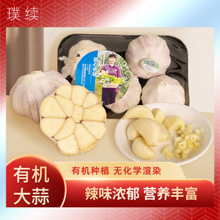 沈佳农有机大蒜新鲜大蒜头多瓣蒜中国有机认证干蒜有机蔬菜农场