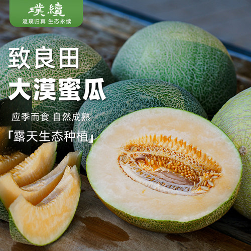 致良田大漠蜜瓜金红宝哈蜜瓜