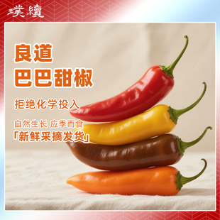 巴巴甜椒芭芭甜姆水果椒云南良道脆甜多汁生吃脆甜芭莱姆彩椒