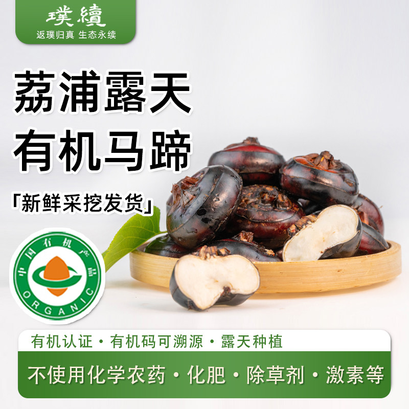 有机马蹄荸荠广西荔浦有机蔬菜新鲜果蔬肉厚饱满清润多汁自然生长,水产肉类/新鲜蔬果/熟食,荸荠/马蹄,淘宝优惠券,粉丝福利购,淘宝优惠卷