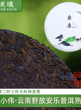 安乐普洱熟茶单小伟云南野放茶