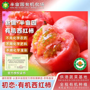半亩园初恋有机西红柿新疆普罗旺斯番茄自然成熟现摘生吃沙瓤孕妇