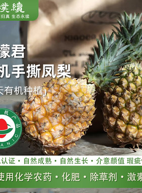 云南有机手撕凤梨柠檬君有机凤梨树上自然熟新鲜采摘水果无需泡盐