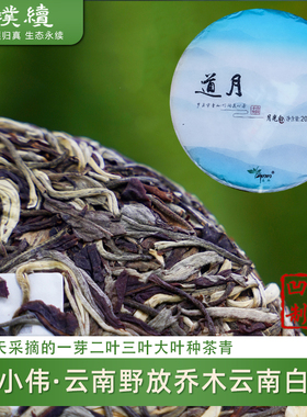 单小伟山凹凹野放月光白茶2025年云茶汤色金黄清甜自然农法200克