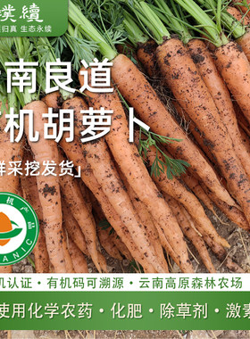 云南高原有机胡萝卜云南3斤装新鲜现挖带土脆爽清甜大小沙拉生吃