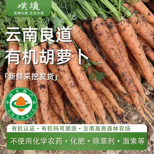 有机胡萝卜云南高原良道应季新鲜蔬菜现挖带土脆爽清甜沙拉生吃