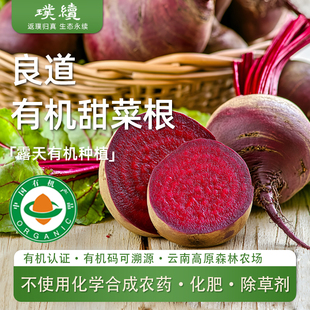云南良道高原有机甜菜根蔬菜食养打汁榨汁食养红甜菜头新鲜5斤装