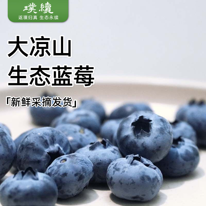 大凉山生态蓝莓四川高山新鲜现摘125g*6盒脆甜爽口孕妇小孩放心吃