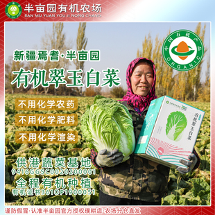 新疆焉耆半亩园有机翠玉白菜130天生长新鲜生菜蔬菜当季放心8斤装