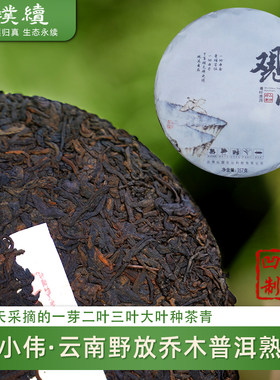 观叶普洱熟茶单小伟2025云南野放