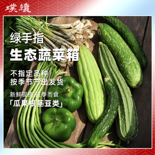 生态蔬菜箱盲盒瓜果根茎豆类绿手指应季瓜果类3斤新鲜当季组合配