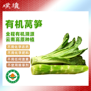 有机莴笋青笋云南大理新鲜蔬菜当季种植青笋尖带叶凤尾涮火锅现摘