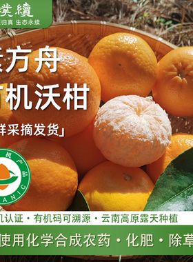 素方舟云南高原有机沃柑无农药化肥当季水果清甜多汁5斤