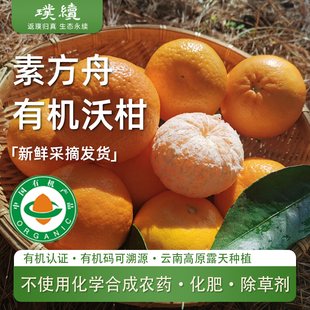 素方舟云南高原有机沃柑无农药化肥当季水果清甜多汁5斤