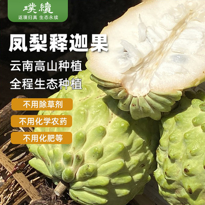 云南释迦果新鲜番荔枝孕妇现摘