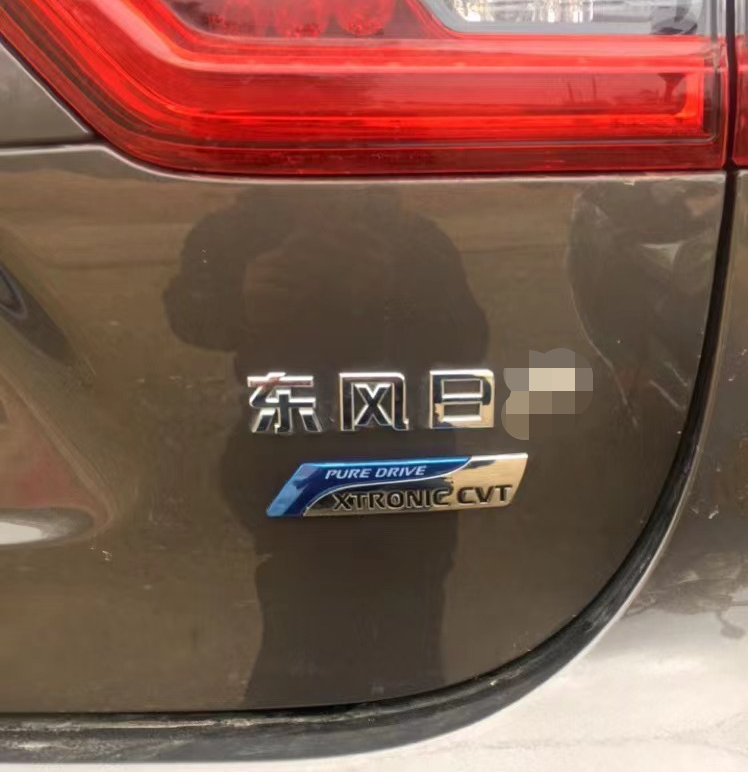 天籁奇骏轩骐达阳光板侧金属车标