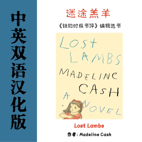 中英双语Lost Lambs迷途羔羊电子参考资料 当代文学家庭伦理