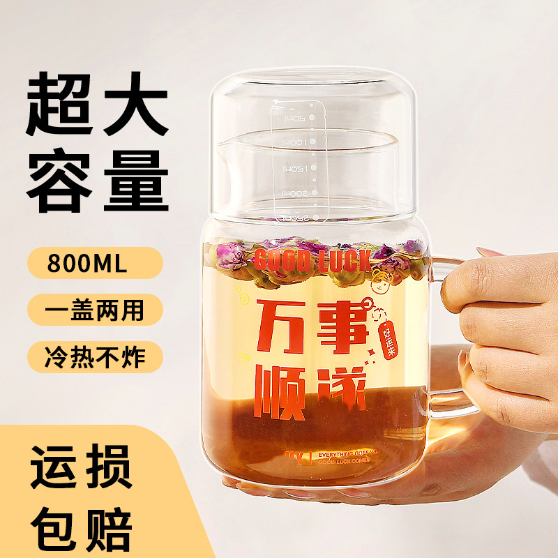 800ml大容量带盖杯子家用喝水杯女高颜值玻璃带把刻度杯男泡茶杯