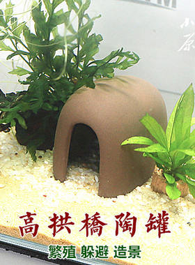 高拱桥瓦片繁殖组鼠鱼异型躲避屋