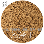 小林自用多年清水底床水草土浮萍睡莲碗莲荷花观背鳉自然粒沼泽泥