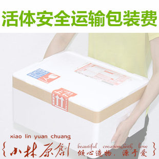 小林原创活体包装费 买鱼、水草、观赏螺必拍