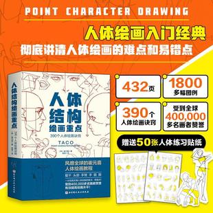 人体结构绘画重点 崔元喜北京科学技术出版社