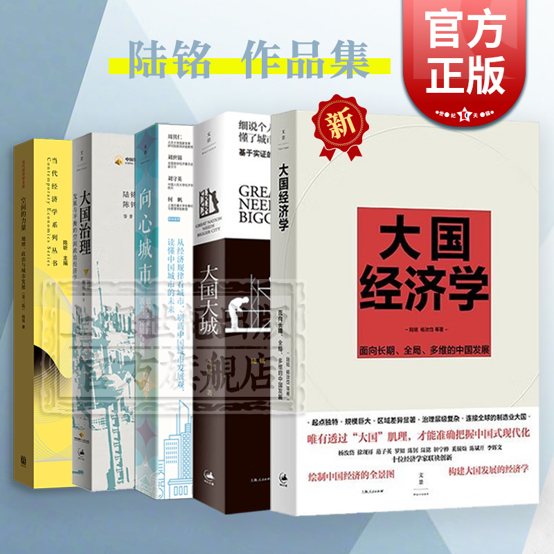 大国经济学/大国大城/向心城市/空间的力量:地理政治与城市发展第2版/大国大城 陆铭作品城市观念世纪文景中国城市的未来经济