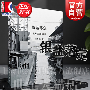 银盐落定:上海2001-2010 朱浩btr著上海人民美术出版社艺术城市摄影人文图书