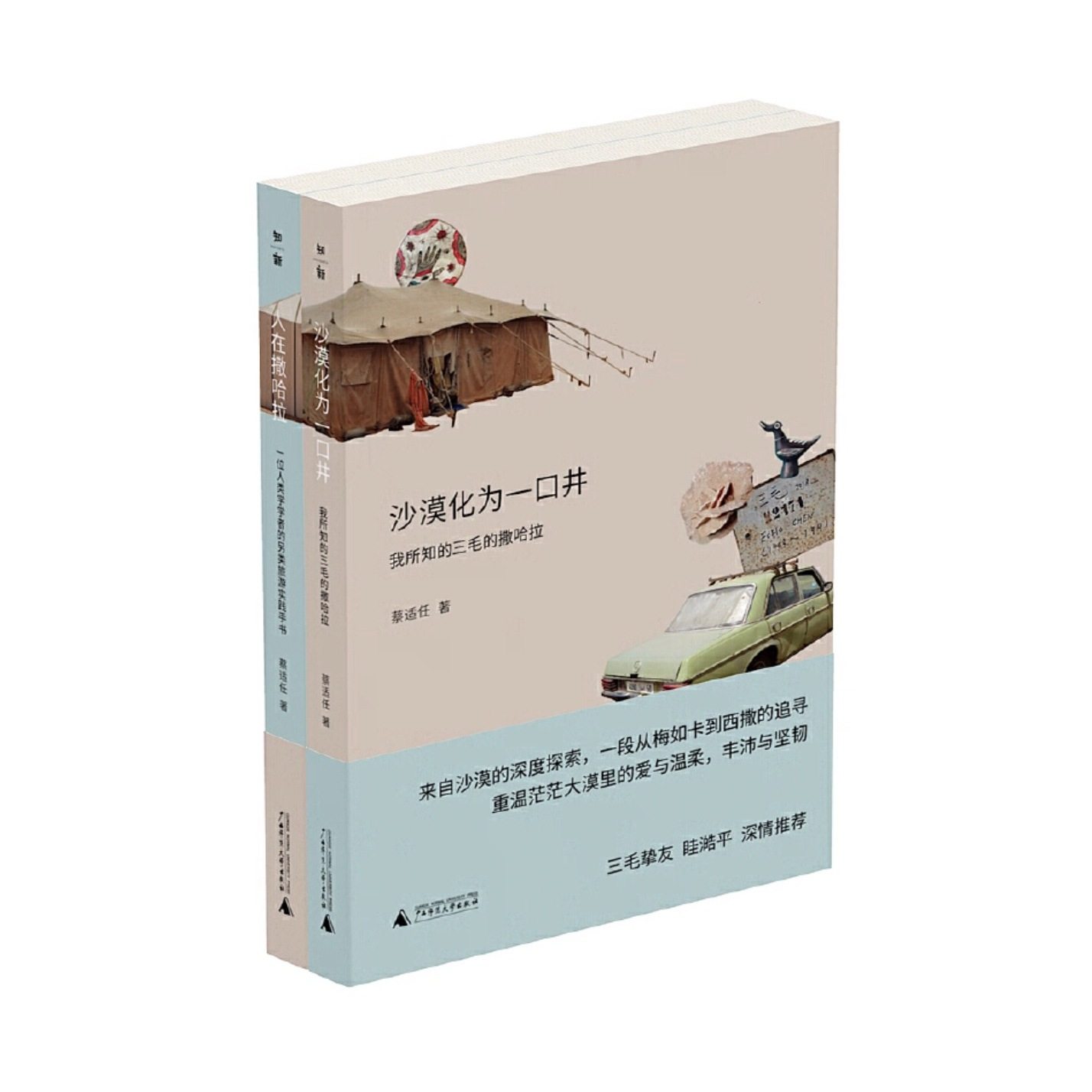 【微瑕直播专享】撒哈拉的故事：沙漠化为一口井+人在撒哈拉