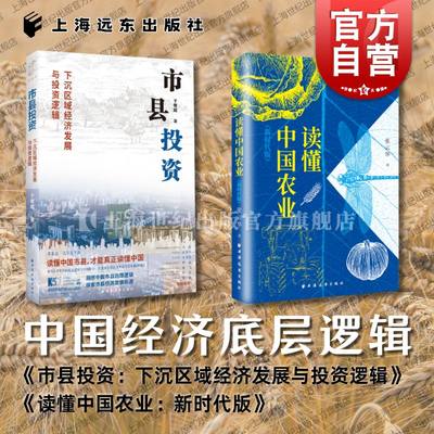 中国经济底层逻辑 市县投资下沉区域经济发展与投资逻辑/读懂中国农业新时代版 上海人民出版社